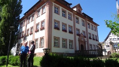 2016-07 Schlossgartenkonzert Dettingen (9)